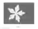 Fig. 05 - Method of photocatalytic white discharge printing for achieving patterns on textiles