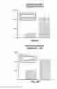 Fig. 19 - Creation of patterns in fibrous matrices using localized dissolution printing