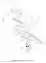 Fig. 08 - Cargo door handle