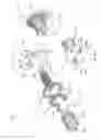 Fig. 09 - Roller clutch