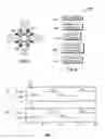 Fig. 07 - Method for forming slots in a wellbore casing