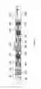 Fig. 32 - SHOCK WAVES FOR PIPE CLEANING