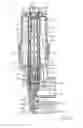 Fig. 35 - Liquid filter with a filter bypass valve and with a central discharge duct, and filter insert for a liquid filter
