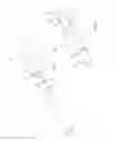 Fig. 04 - MUFFLER