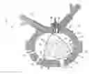 Fig. 01 - Rotary internal combustion engine with cooled insert