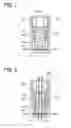 Fig. 08 - FUEL SUPPLY SYSTEM AND PRESSURE REDUCING DEVICE