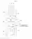Fig. 02 - Exhaust gas recirculation apparatus and control method therefor