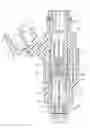 Fig. 01 - Fuel injection valve