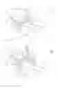 Fig. 04 - Clutch