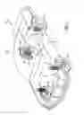 Fig. 02 - Variable radius spring disc for vehicle shock absorber