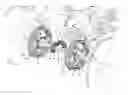 Fig. 01 - TORQUE VECTORING HYBRID TRANSAXLE