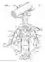 Fig. 02 - Collapsible stand