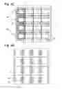 Fig. 06 - Light panel system