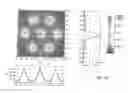 Fig. 03 - Low profile lighting module