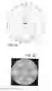 Fig. 16 - Low profile lighting module