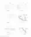 Fig. 09 - Luminaire