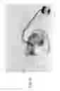 Fig. 11 - Twist and lock mounting bracket