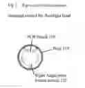 Fig. 02 - Flashlight Switch