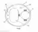 Fig. 09 - LED candle lamp having humidifying and flavoring function