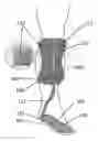 Fig. 01 - Foot orthosis and exoskeleton