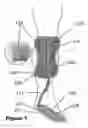 Fig. 02 - Foot orthosis and exoskeleton