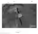 Fig. 02 - ELECTROMAGNETIC WAVE DETECTION