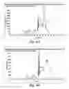 Fig. 04 - Sample extraction apparatus with micro elution bed design