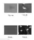 Fig. 06 - Three-dimensional dispersible nanoresonator structure for biological, medical and environmental applications and method for manufacture thereof