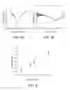 Fig. 07 - Three-dimensional dispersible nanoresonator structure for biological, medical and environmental applications and method for manufacture thereof
