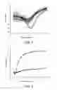 Fig. 08 - Three-dimensional dispersible nanoresonator structure for biological, medical and environmental applications and method for manufacture thereof