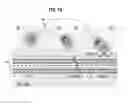 Fig. 02 - One dimensional photonic crystals for enhanced fluorescence based sensing, imaging and assays