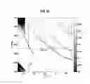 Fig. 19 - One dimensional photonic crystals for enhanced fluorescence based sensing, imaging and assays