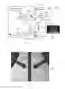 Fig. 02 - GLYCAN PROFILING UTILIZING CAPILLARY ELECTROPHORESIS