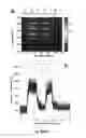 Fig. 07 - Ultrasensitive SERS flow detector