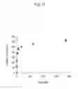 Fig. 08 - Glycoform detection method and glycoform detection device