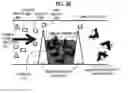Fig. 03 - MULTIPLEXED BIOASSAY TECHNIQUES