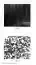 Fig. 02 - EMBODIMENTS OF A COMPOSITION COMPRISING DIATOM FRUSTULES AND A METHOD OF USING