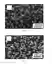 Fig. 03 - EMBODIMENTS OF A COMPOSITION COMPRISING DIATOM FRUSTULES AND A METHOD OF USING