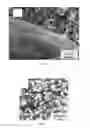 Fig. 05 - EMBODIMENTS OF A COMPOSITION COMPRISING DIATOM FRUSTULES AND A METHOD OF USING