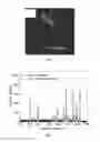 Fig. 06 - EMBODIMENTS OF A COMPOSITION COMPRISING DIATOM FRUSTULES AND A METHOD OF USING