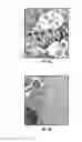 Fig. 09 - Vaccines and diagnostics for the 