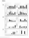 Fig. 08 - METHOD FOR OBTAINING DATA THAT ARE USEFUL FOR THE DIAGNOSIS, PROGNOSIS AND CLASSIFICATION OF PATIENTS WITH CHRONIC OBSTRUCTIVE PULMONARY DISEASE (COPD) AND/OR LUNG CANCER