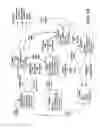 Fig. 14 - Self-test for analgesic product