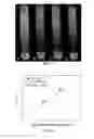 Fig. 07 - METAL PARTICLE MRI CONTRAST AGENTS AND METHODS OF USE