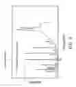 Fig. 09 - Analyzing apparatus and calibration method