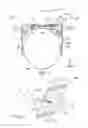 Fig. 02 - DISPLAY DEVICE