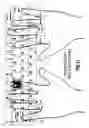 Fig. 30 - Input cueing emmersion system and method