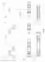 Fig. 08 - Logical volume space sharing