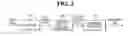 Fig. 03 - Data deduplication method