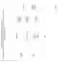 Fig. 02 - System and Method for Providing Mobile Electronic Assistance in Diagnostic and Therapeutic Medical Decisions and Documentation